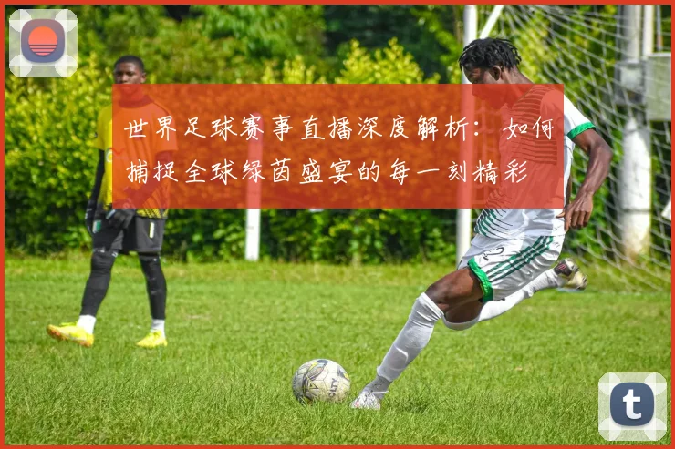 世界足球赛事直播深度解析：如何捕捉全球绿茵盛宴的每一刻精彩